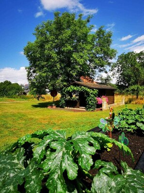 Uklassifisert bilde, 3 av 16, knapp