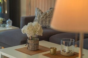 TV connectée, cheminée, lecteur de DVD