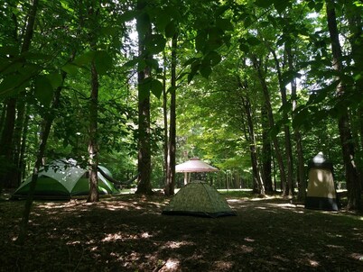 Blue Moon - Dark Skies, Spacious, Quiet, Fully Furnished Campsite