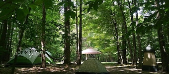 BlueMoon - quiet, private, secluded