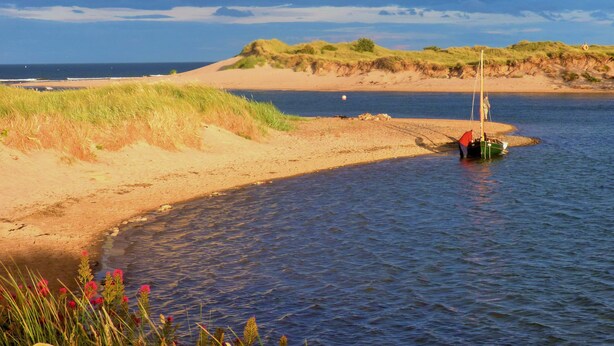 Beach nearby - Alnmouth Close to Beach and golf with Private Parking and Pet Friendly (Alnwick)