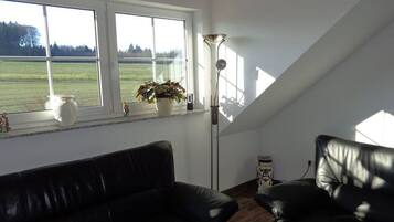 Fernseher, DVD-Player, Stereoanlage