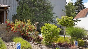 Un panneau de signalisation indiquant un espace de stationnement, un mur de pierre et une variété de plantes et d’arbres.