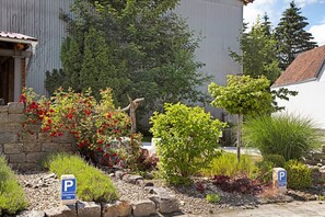 A parking sign, a stone wall, and a variety of plants and trees.