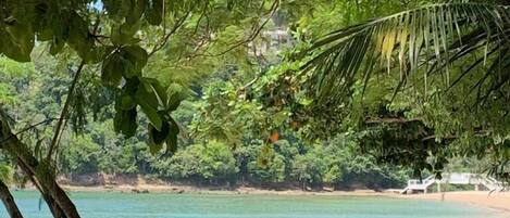 Playa privada, camastros, toallas de playa y masajes en la playa