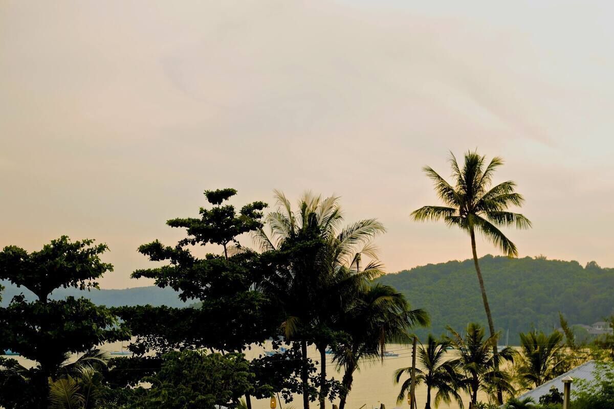 Foto - The Mooring Resort