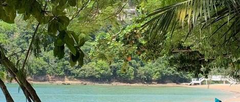 Plage privée, chaises longues, serviettes de plage