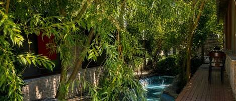 A clear pool surrounded by lush greenery, a wooden deck, and a stone wall.