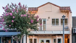 A building with a storefront labeled "SOLE DESIRE shoes" and a tree with pink flowers in front.