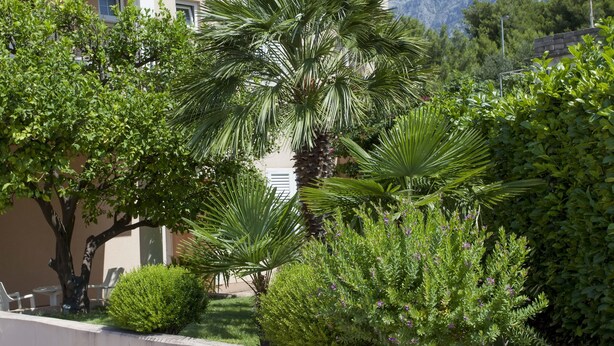 Exterior - APART HOTEL VILLA MOZART (Podgora)