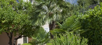 APART HOTEL VILLA MOZART