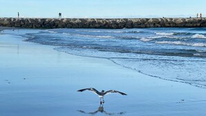 A beach with a rocky breakwater and waves. - Atlantic City ☆Waterfront Park☆ Amazing 360 views (Atlantic City)