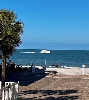 A beach with a boat in the water, a palm tree, and a paved walkway.