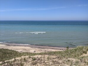 A beach with clear water, sandy shore, and sparse vegetation.