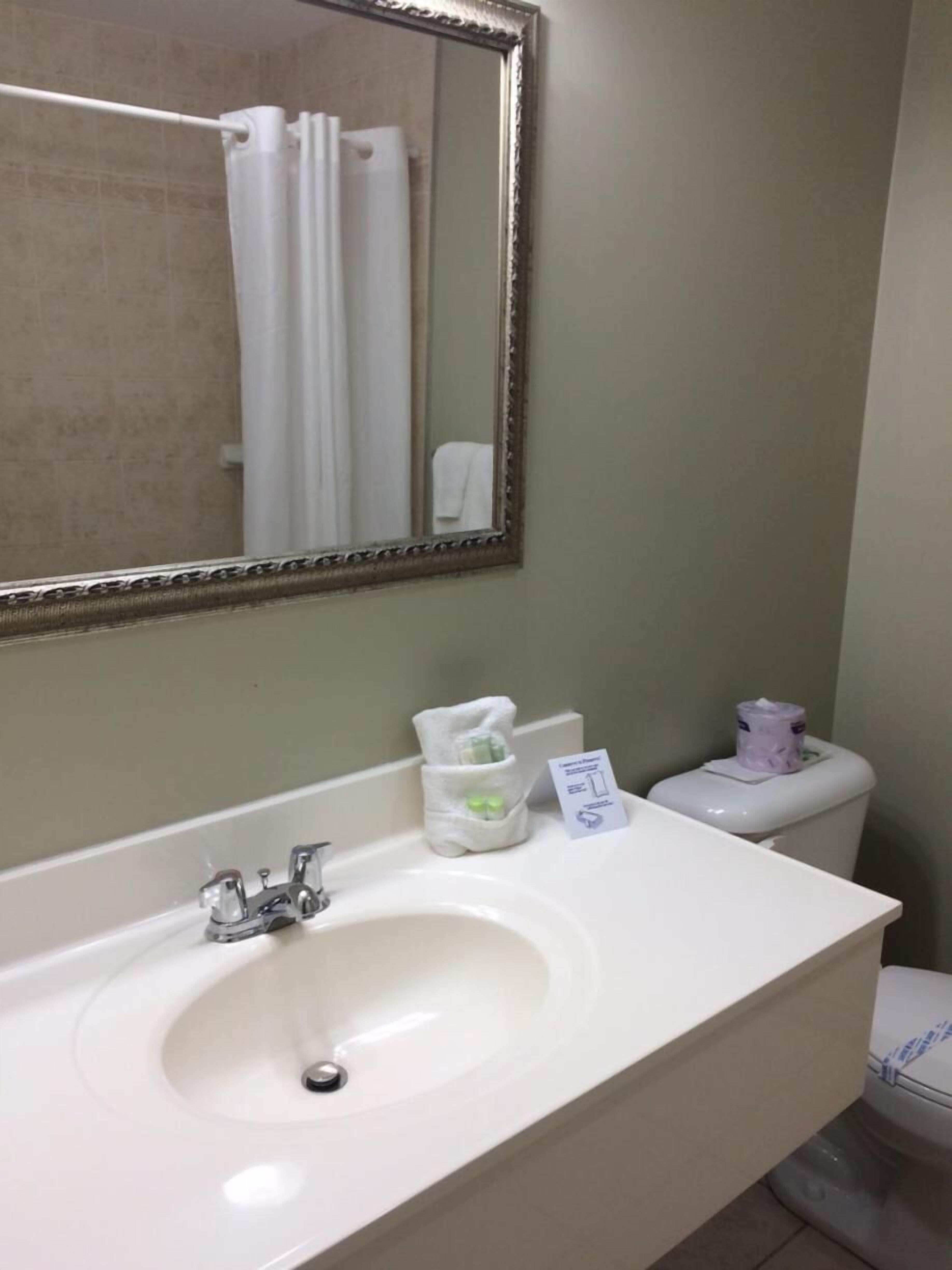 combined shower/bathtub, free toiletries, hair dryer, towels