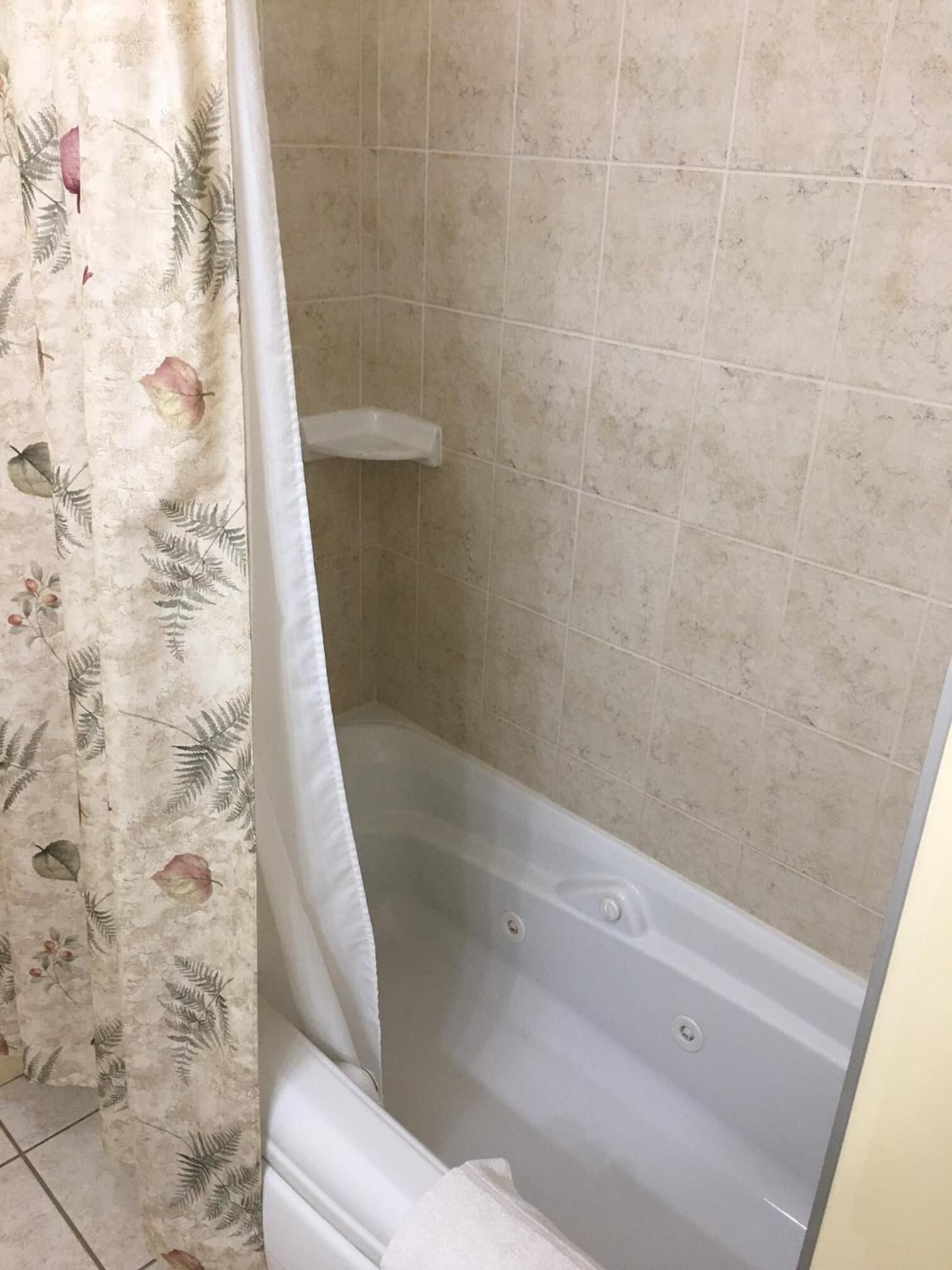 combined shower/bathtub, free toiletries, hair dryer, towels
