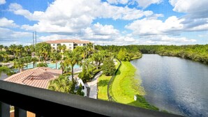 Property grounds - Great View Condo, 2 Min. from Disney World!- 70 (Orlando)