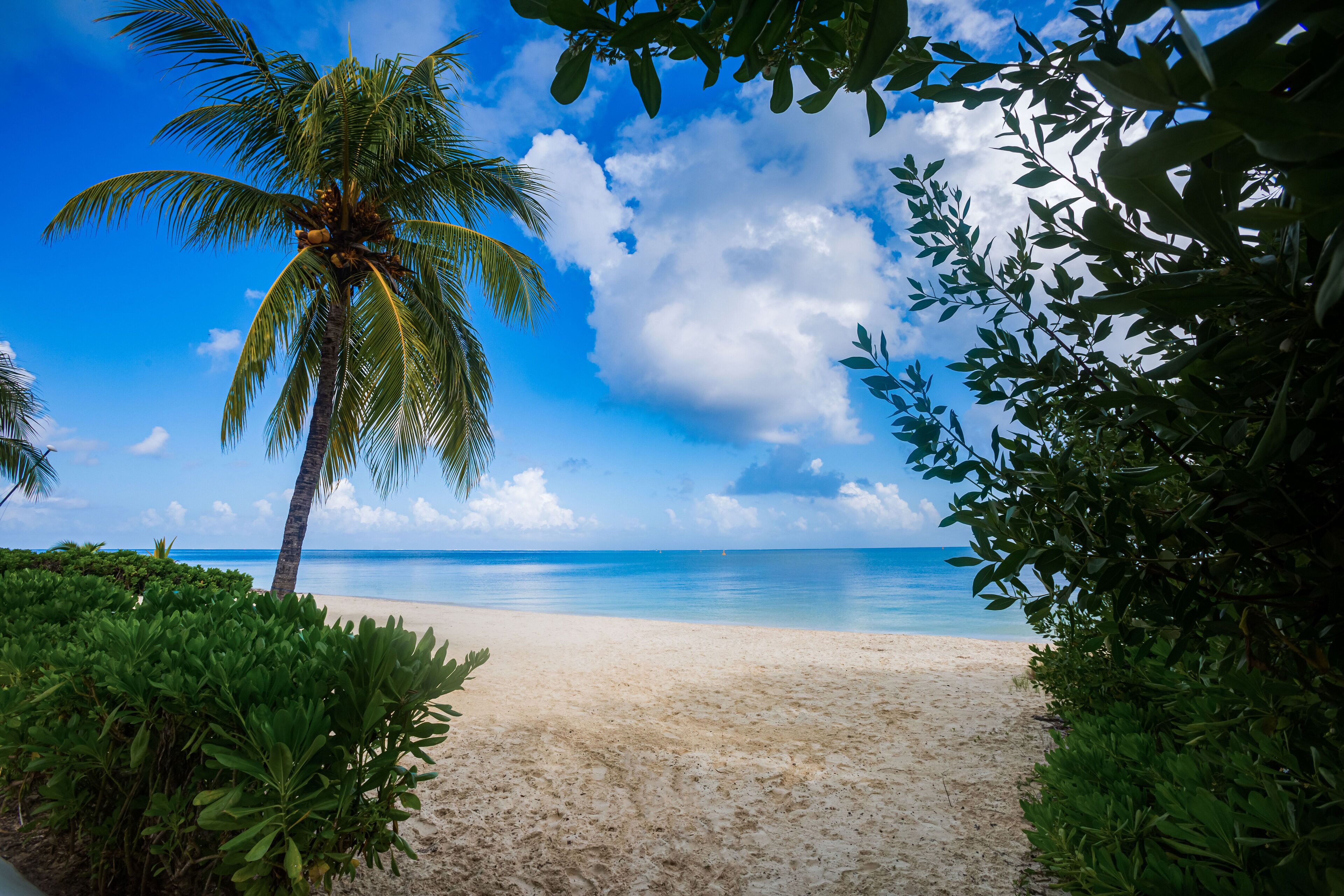 Plage, chaises longues, serviettes de plage