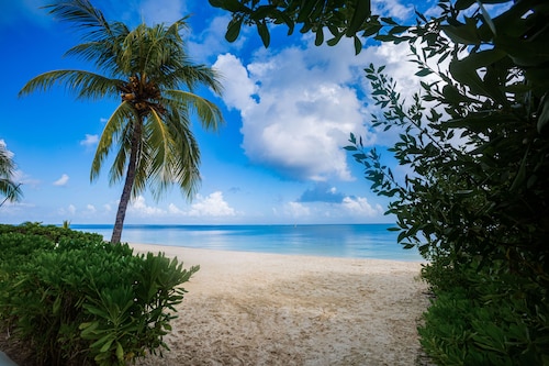 Villa RosMar - Luxury Beachfront House w/Private Pool + Lovely Sandy Beach