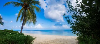 Villa RosMar - Luxury Beachfront House w/Private Pool + Lovely Sandy Beach