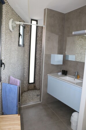 Shower, hair dryer, soap, toilet paper