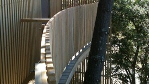 A wooden spiral staircase leading to a building with vertical wooden slats. - ECO-Responsible Treehouse / Welcome to Nature (Moliets-et-Maa)
