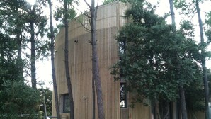 A modern building with vertical wooden panels, surrounded by trees. - ECO-Responsible Treehouse / Welcome to Nature (Moliets-et-Maa)