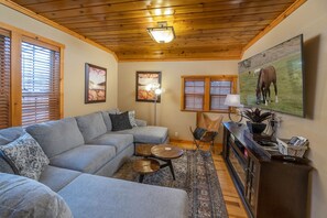 Smart TV, caminetto, libri