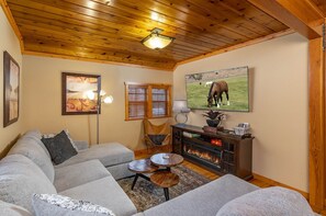 Smart TV, caminetto, libri