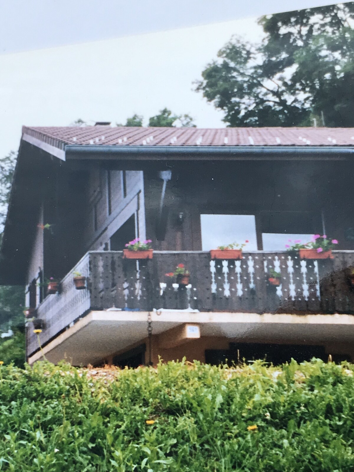 Imagen de perfil del propietario o de la propietaria