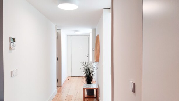 Un couloir moderne avec un plancher en bois, une petite table ornée d’une plante et une porte au fond.