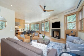 Smart TV, chimenea, reproductor de DVD, biblioteca de música