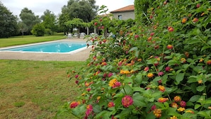 A swimming pool surrounded by a grassy lawn and flowering plants.