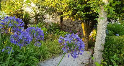 Casa das Azeitonas, Jolie Ferme qui Assure Détente et Repos -6 Personnes Maximum
