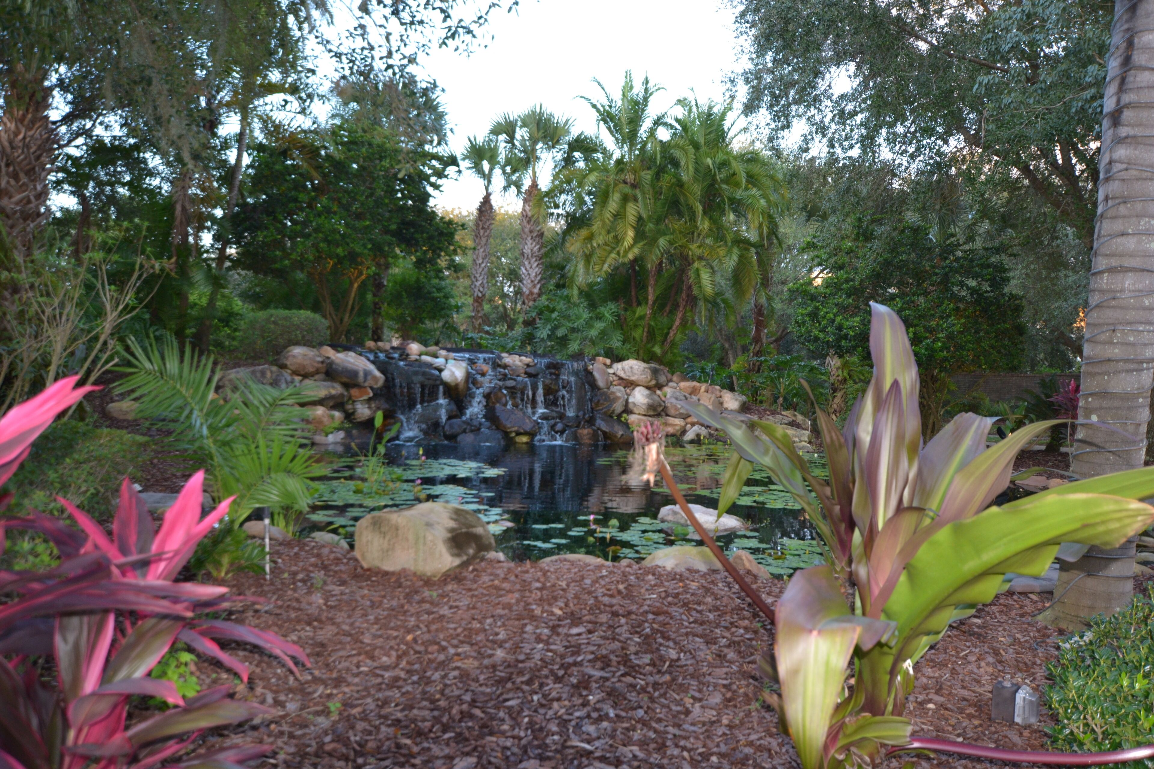 Un jardín con una pequeña cascada, rodeado de diversas plantas y árboles.