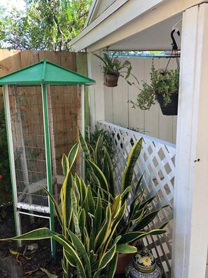 Enceinte de l’hébergement