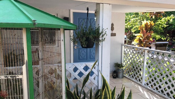 A covered outdoor area with a metal gate, a blue door, and potted plants.
