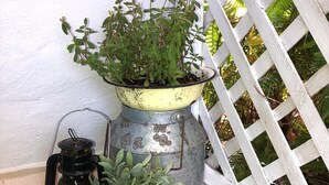 A potted plant with a metal pot and a lantern beside a white fence.