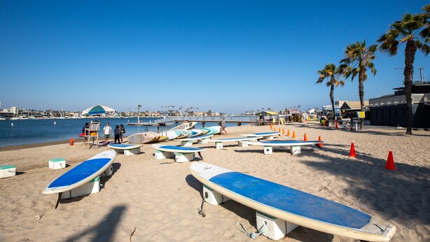 A beach with several surfboards lined up on the sand, a few palm trees, and a clear blue sky. - Beach across the street, Alamitos Bay steps away! No hidden Fees! (Long Beach)