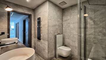 Combined shower/tub, hair dryer, bathrobes, towels