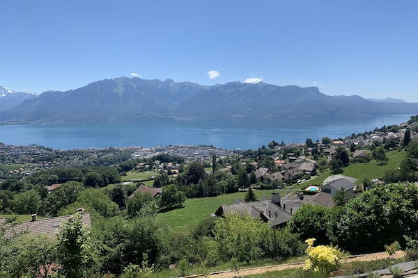 vue depuis la terrasse