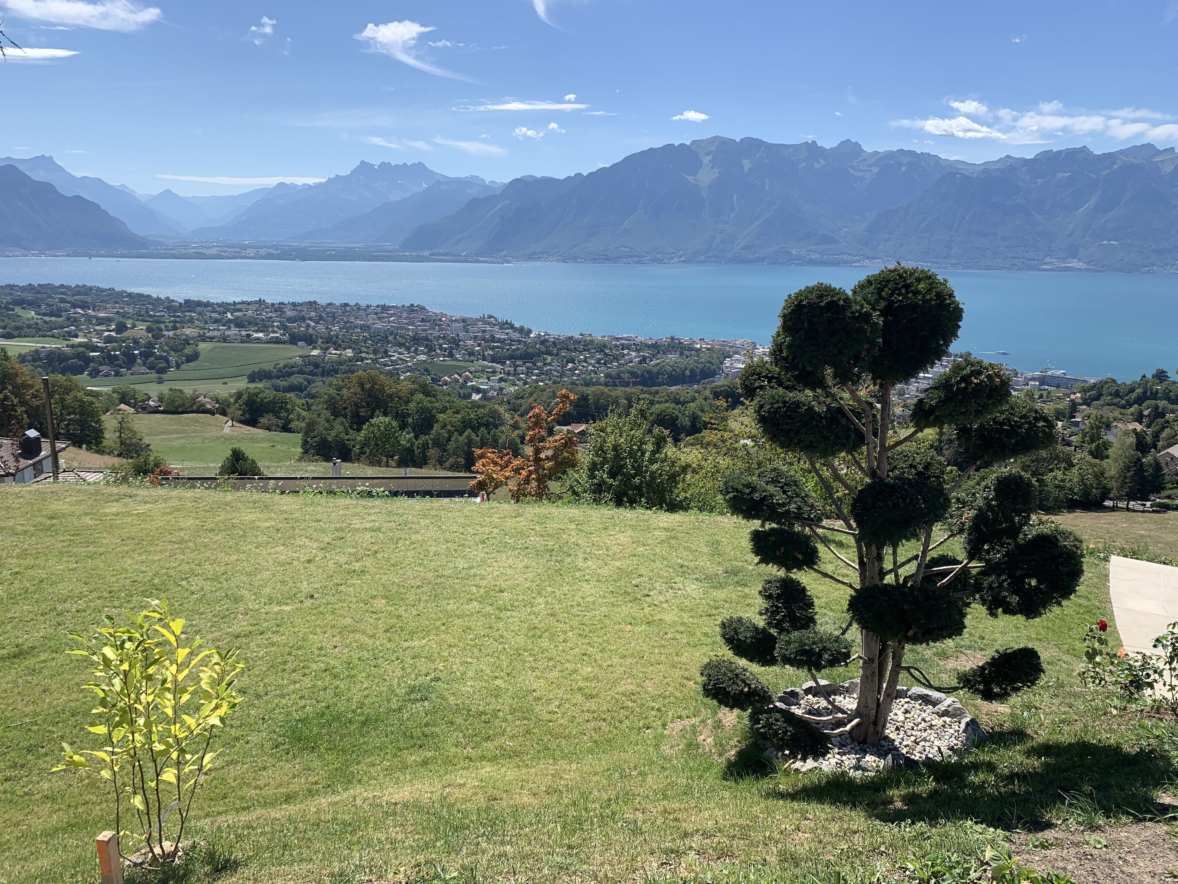 A scenic view of a mountainous landscape with a lake and a town in the background.