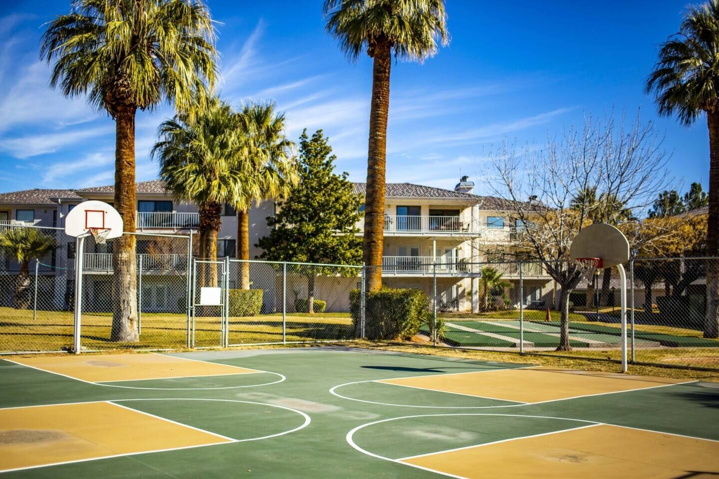Un terrain de basket en plein air, équipé de deux paniers, entouré de palmiers et avec un immeuble d’habitation en arrière-plan.