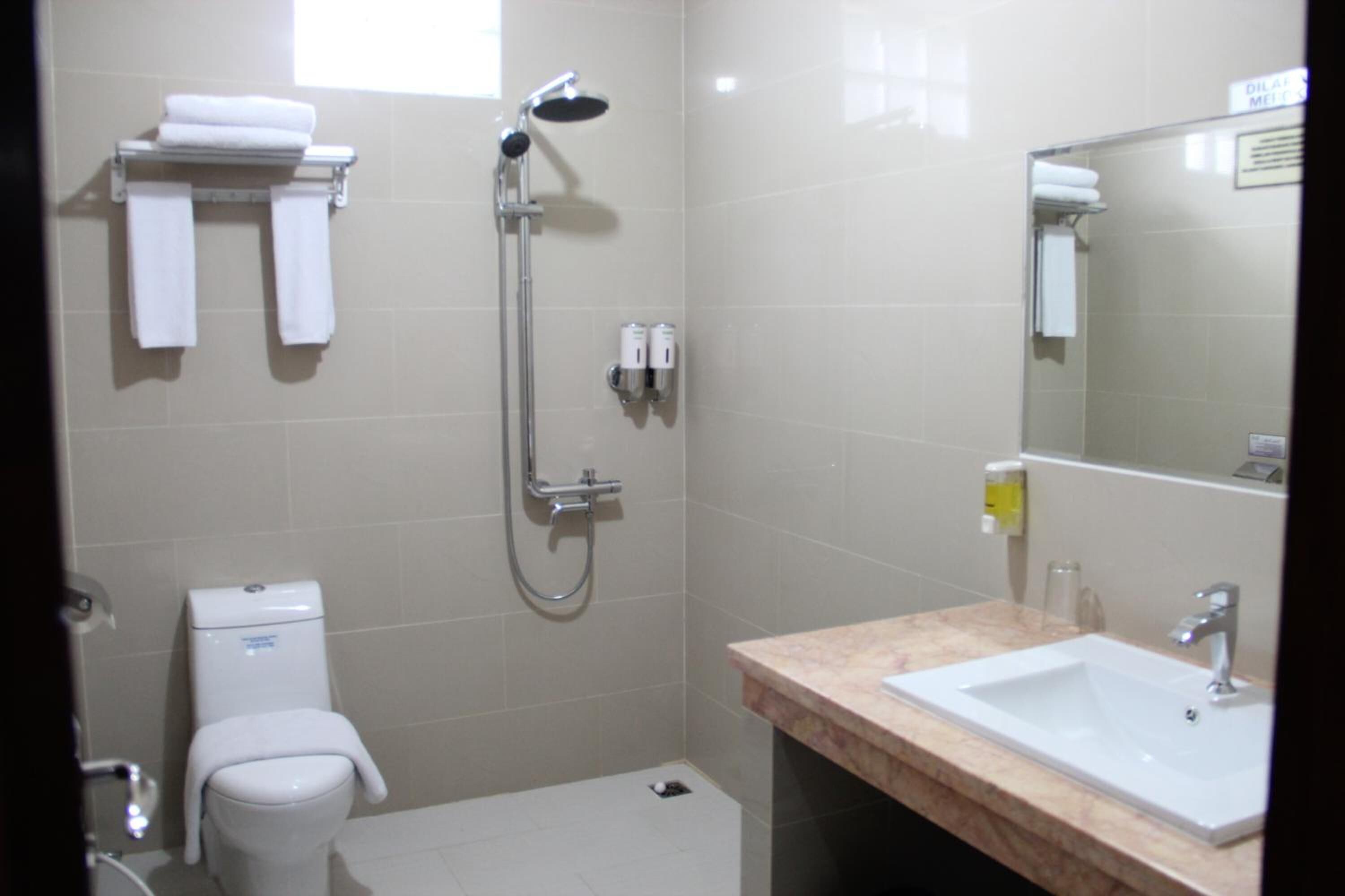 A bathroom with a toilet, a shower, a sink, and a mirror.