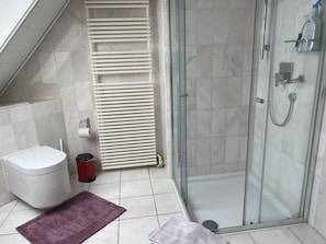 Shower, hair dryer, soap, toilet paper