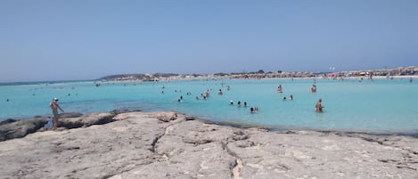 مناشف للشاطئ