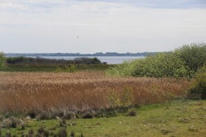 Unclassified image, 5 of 15, button