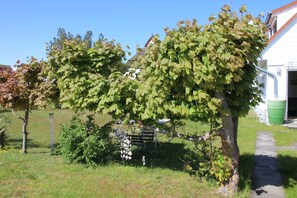 Unclassified image, 3 of 15, button