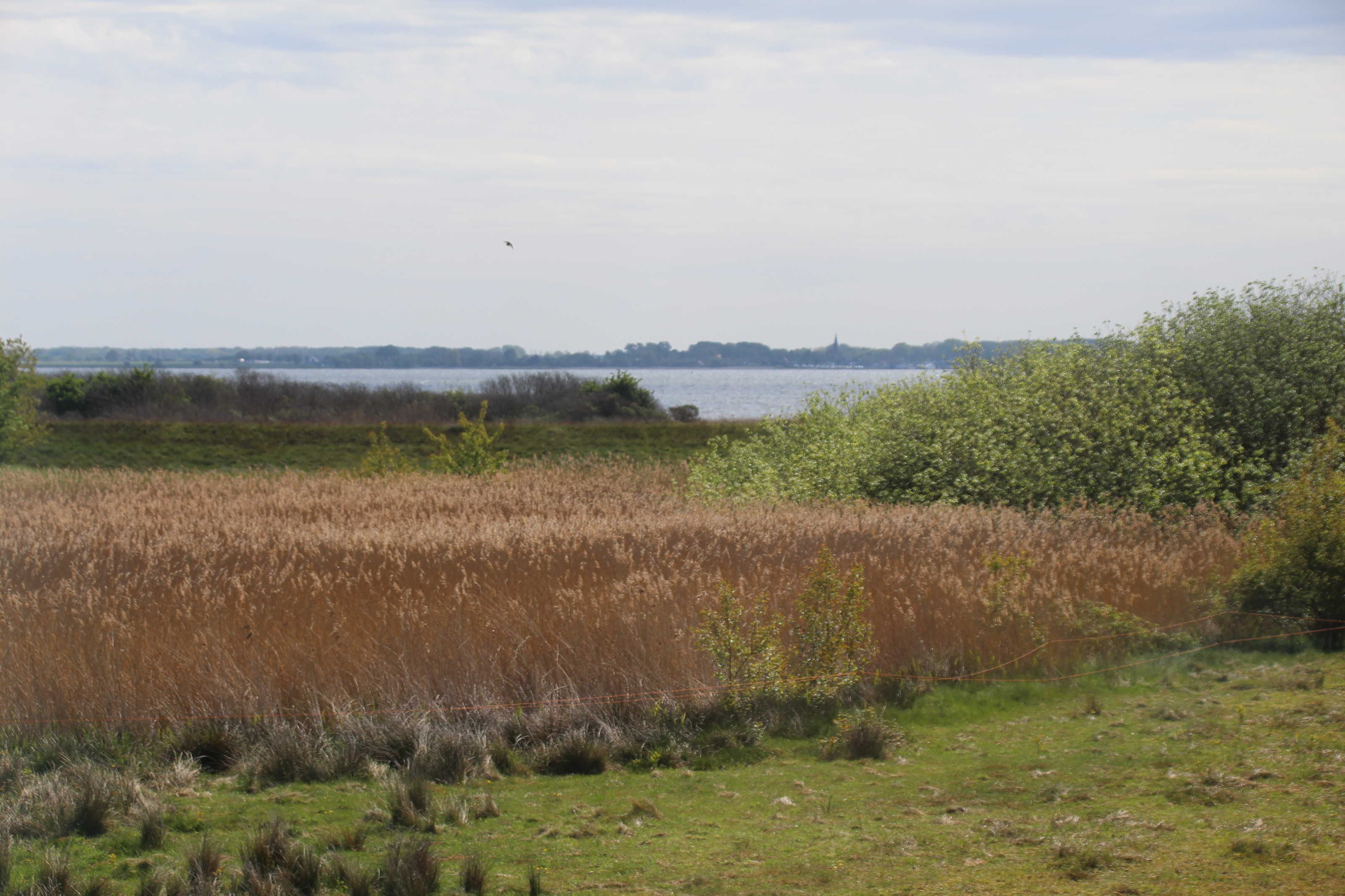 Un paysage naturel comprenant une étendue d’eau, des prairies et une côte lointaine.