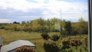 Uitzicht vanuit een raam op een grasveld met bomen en een gebouw in de verte.
